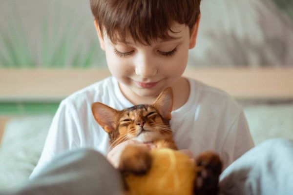 Shutterstock_1933190744