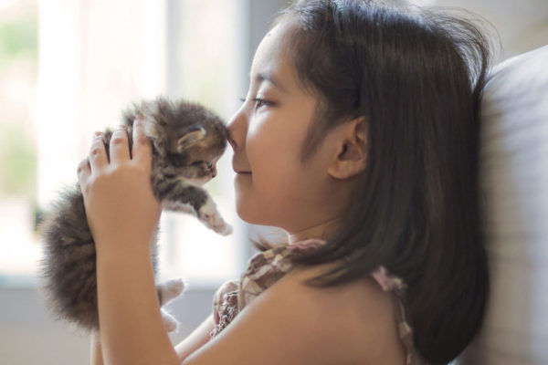 Shutterstock_358621235-scaled-e1733253699404